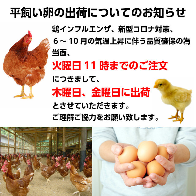 やさと平飼いたまご産み立て・クール直送