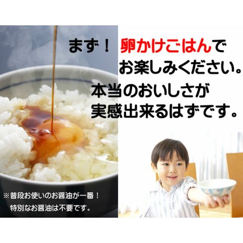 やさと平飼いたまご産み立て・クール直送