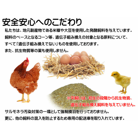やさと平飼いたまご産み立て・クール直送