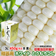 朝採りとうもろこし《収穫日出荷》