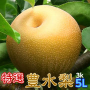 送料無料【特選完熟豊水梨5L以上3kg6玉以下】