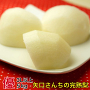 豊水梨,優規格以上の品質でお届け,3L以上