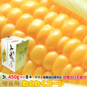朝採りとうもろこし《収穫日出荷/即日お届け》