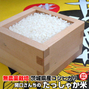 無農薬栽培米コシヒカリ,関口さんちのたっしゃか米,こしひかり