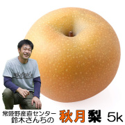 鈴木さんちの完熟秋月梨5kg,常陸野