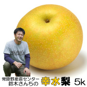 鈴木さんちの完熟幸水梨5kg,常陸野