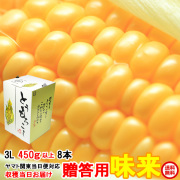 朝採りとうもろこし《収穫日出荷》