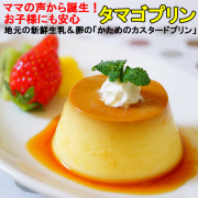 タマゴプリン40年愛され続けたカスタードプリン