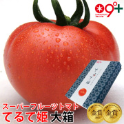 てるて姫,スーパーフルーツトマト大箱(18～35玉約2.8kg)糖度9度以上