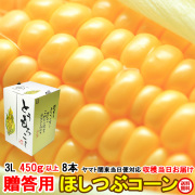 朝採りとうもろこし《収穫日出荷/即日お届け》