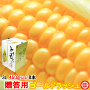 朝採りとうもろこし《収穫日出荷/即日お届け》