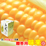 朝採りとうもろこし《収穫日出荷》