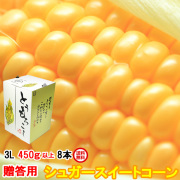 朝採りとうもろこし《収穫日出荷/即日お届け》