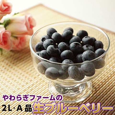 送料無料 ギフト 生 ブルーベリー 2L A品 800g (100g×8) 贈答用