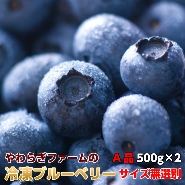 やわらぎファーム【送料無料】冷凍ブルーベリー500g×2