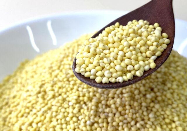 生・餅アワ（キビ）