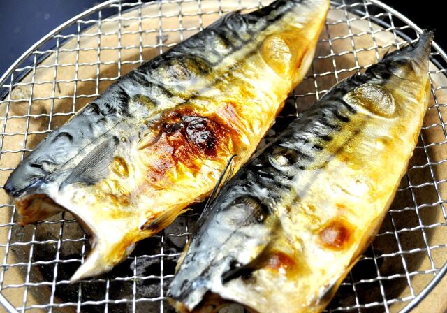 輪島・さばいしる一夜干