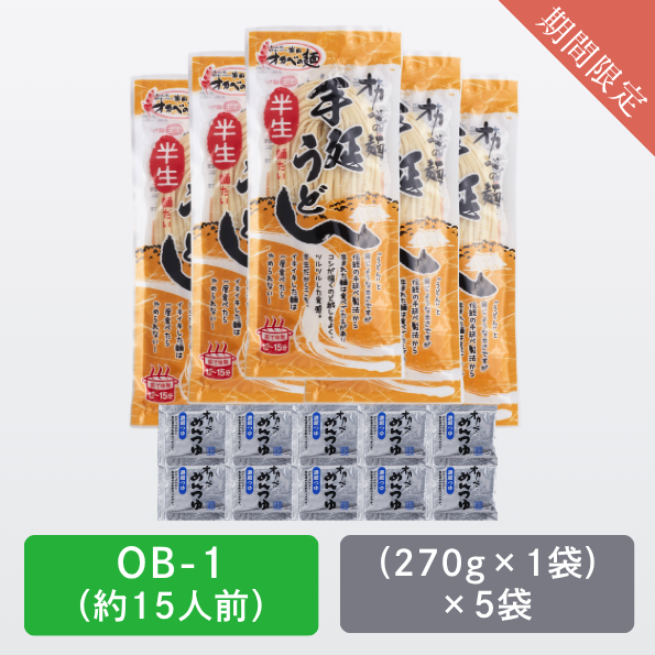 半生うどん5袋