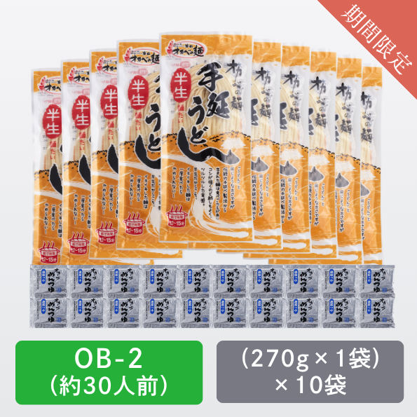 半生うどん10袋