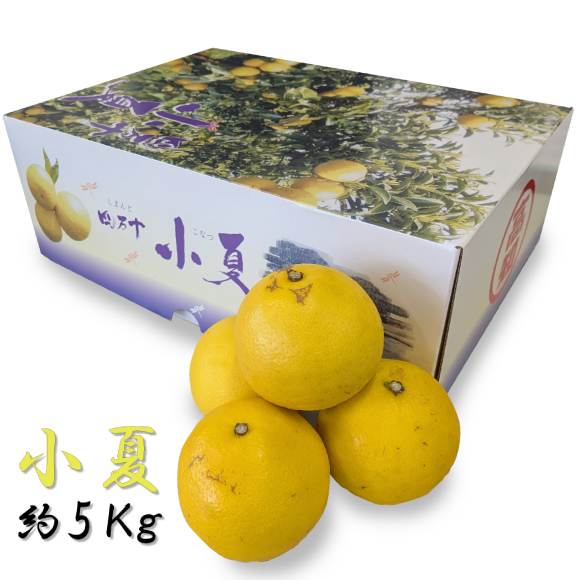小夏Ａ【送料無料】2S・2L※サイズ指定・配達日指定不可