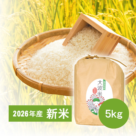 2026年産 大波米[新米] 5kg＜出荷予定日：11月以降金曜出荷＞