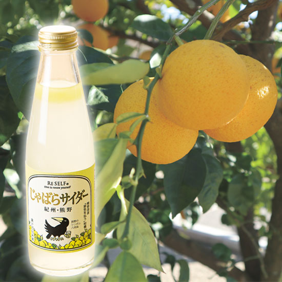 じゃばらサイダー 200ml ※包装なし <発送日：毎週金曜日>