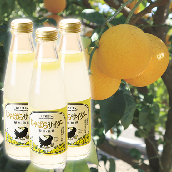 じゃばらサイダー　3本セット※包装なし <発送日：毎週金曜日>