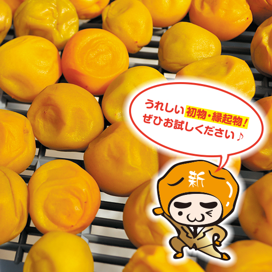 幻の梅＜新梅＞500g｜今月のキャンペーン商品｜幻の梅の岡畑農園 - 本