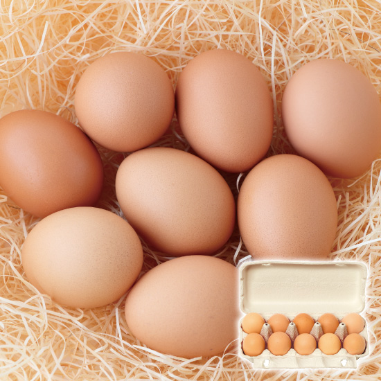 予約商品】梅岡さん家の放し飼い卵（サイズ無選別 10個入／3