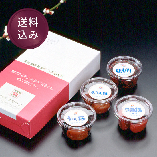 お試しセット（4種入：送料込み）※紙の手提袋不可