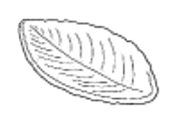手押し用 石膏型 銘々皿 木の葉 手押し用石膏型 120×225×12H ｍｍ 陶芸用 型 陶芸 陶芸教室 皿うつわ 器