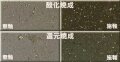 南蛮土 2号 焼成温度1200～1250℃ 陶芸用 粘土 高温焼成用南蛮土 酸化で濃紫色を呈し 面白い南蛮土 小物 中物 食器 陶芸
