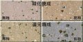 ピンク御影土 焼成温度1230～1250℃ 荒目の珪石類で粒度調整 成形万能 ピンク 御影 陶芸
