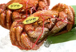 海開けオホーツク雄武産毛蟹