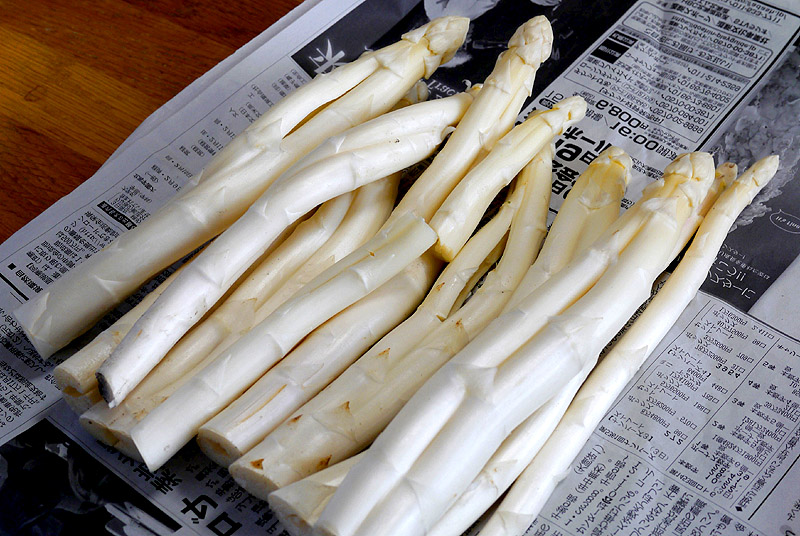 美幌町産訳ありホワイトアスパラ