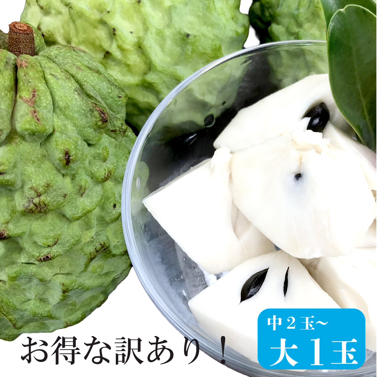 沖縄産アテモヤ [ちょっぴり訳ありフルーツ]12～3月収穫