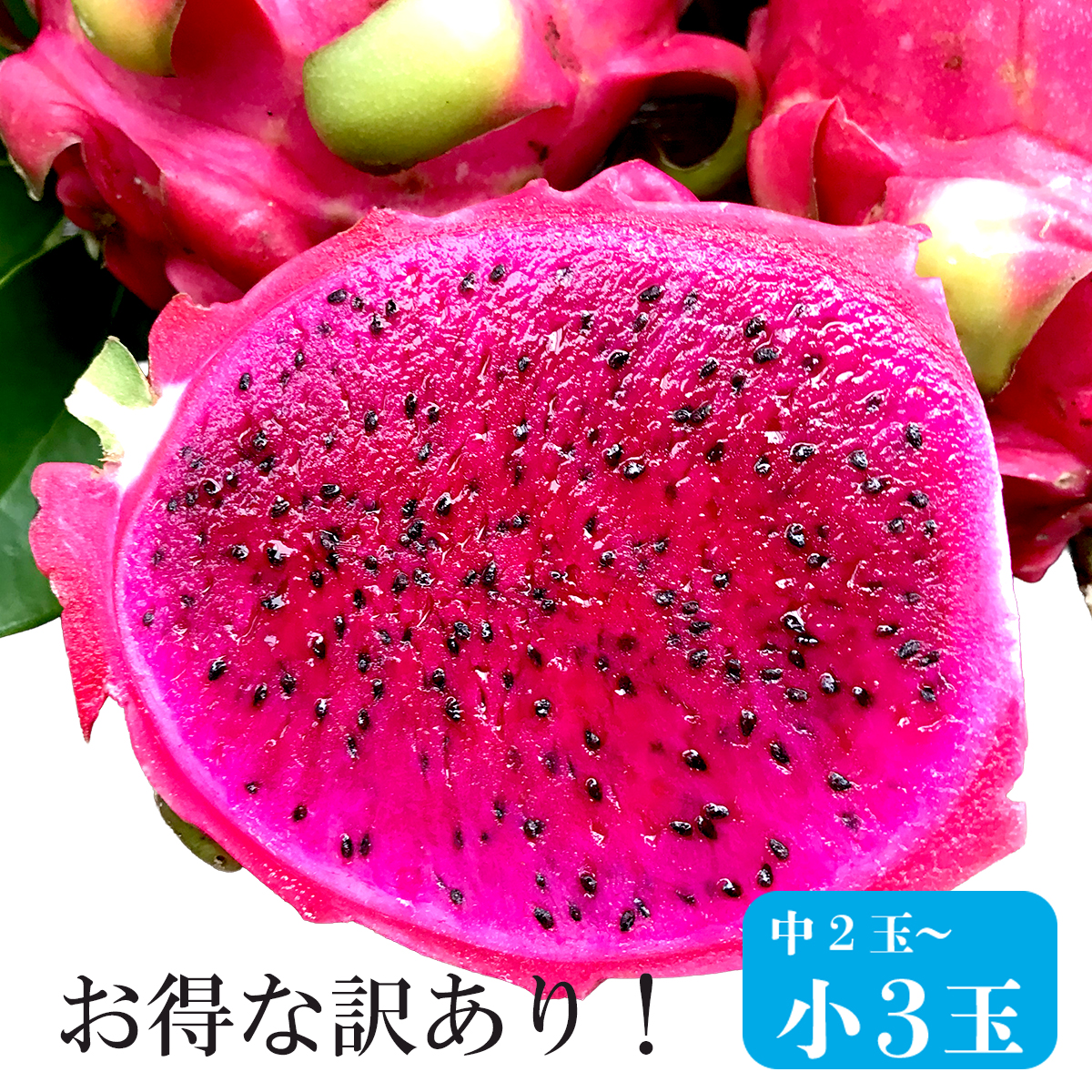 沖縄産ドラゴンフルーツ■赤果肉[ちょっぴり訳ありフルーツ]9～10月収穫時に発送