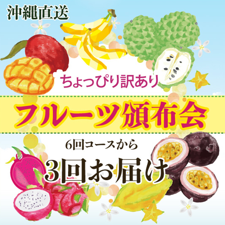 沖縄産訳ありフルーツ頒布会[3回お届け]