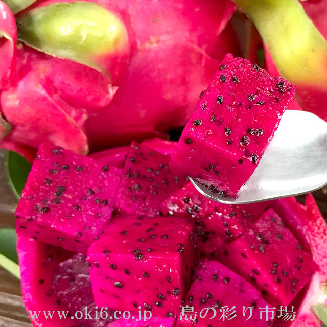 ドラゴンフルーツ赤２kg