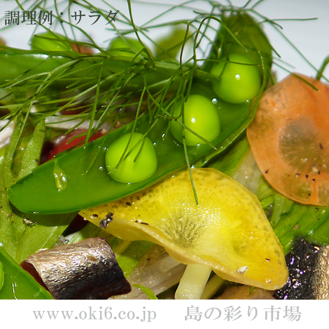 沖縄近海産：アンチョビ使用例　サラダ