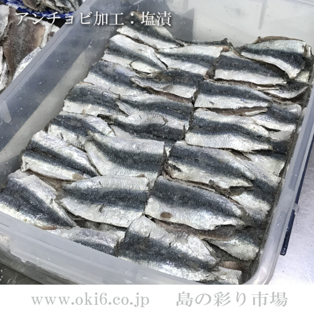 沖縄近海産：アンチョビ使用例　魚塩漬け
