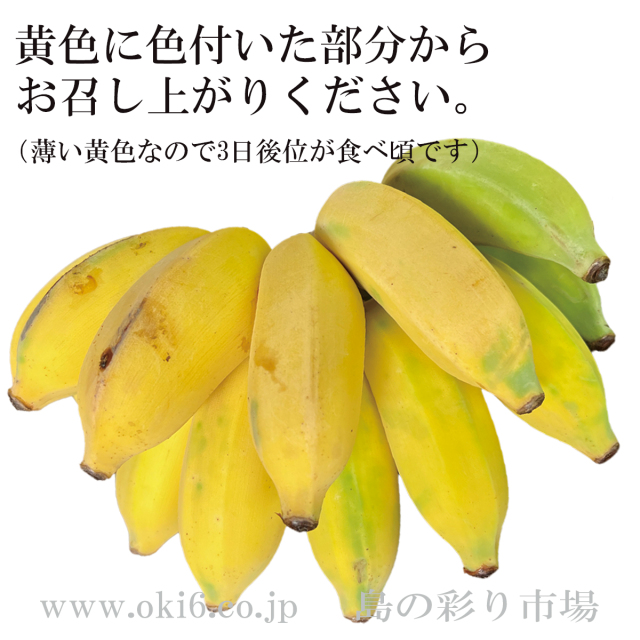 沖縄産バナナ・ご要望により色が付いた黄色いバナナも発送可能です。