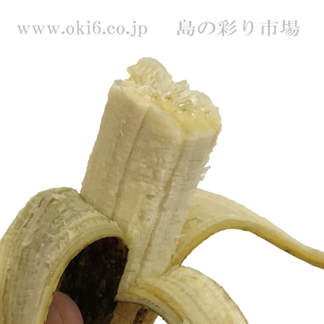 沖縄産バナナ 　いろいろな品種からチョイスしています