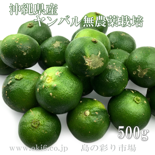 沖縄県産シークヮーサー果実（500g）