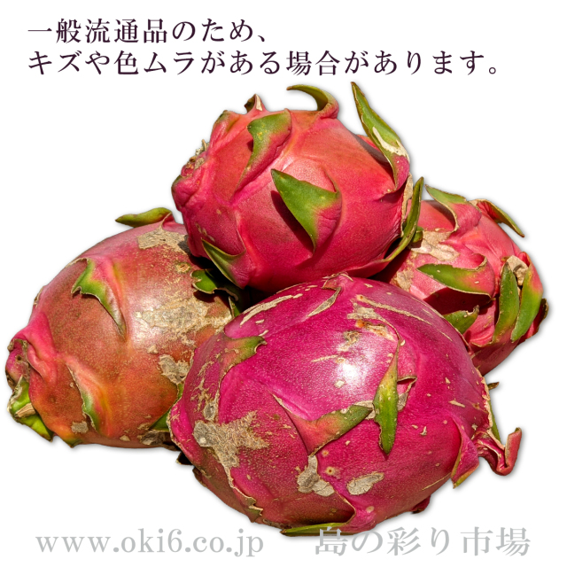 沖縄産ドラゴンフルーツ■白果肉[ちょっぴり訳ありフルーツ]9～10月収穫時