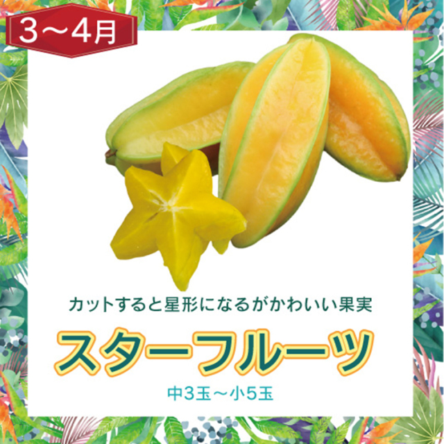 沖縄フルーツ頒布会　スターフルーツ