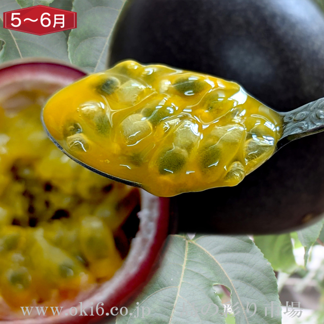 沖縄産訳ありフルーツ[5～6月お届け：パッションフルーツ]
