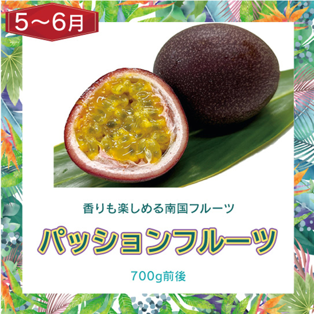 パッションフルーツ700g