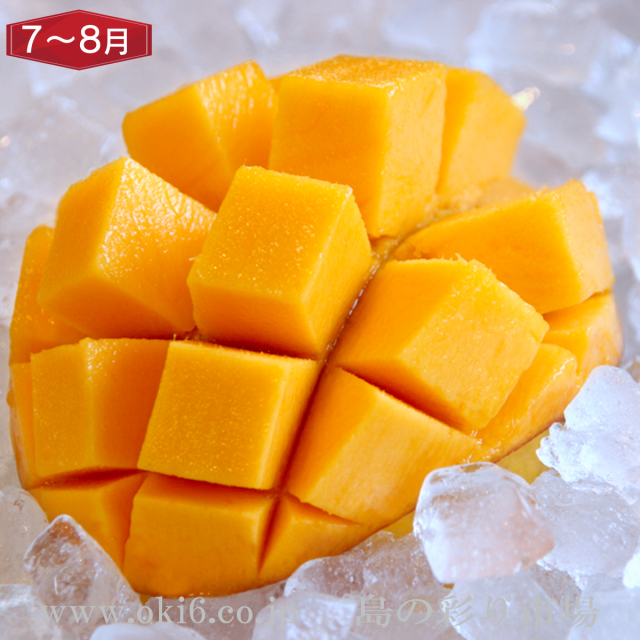 沖縄産訳ありフルーツ[7～8月お届け：マンゴーorキーツマンゴー]