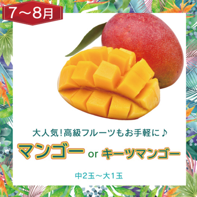 訳ありフルーツ頒布会6回セット・アップルマンゴー